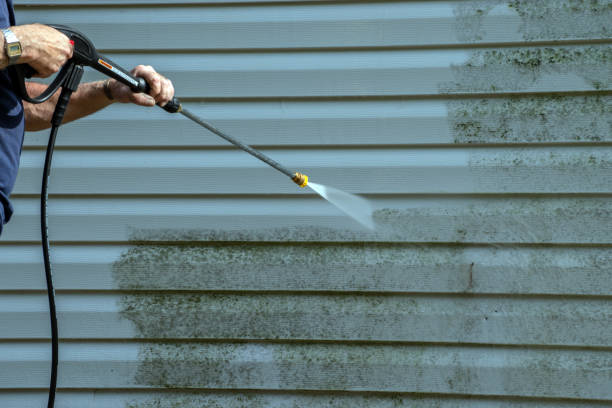 Best Brick and Stone Cleaning in White Oak, TX