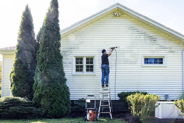 Best Gutter Cleaning and Brightening in White Oak, TX